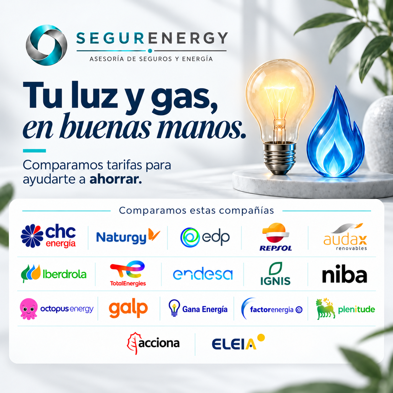 Segurenergy: tu luz y gas, en buenas manos. Comparamos tarifas de CHC Energía, Naturgy, EDP, Repsol, Audax, Iberdrola, TotalEnergies, Endesa, IGNIS, Niba, Octopus Energy, Galp, Gana Energía, Factorenergia, Plenitude, Acciona y ELEIA.